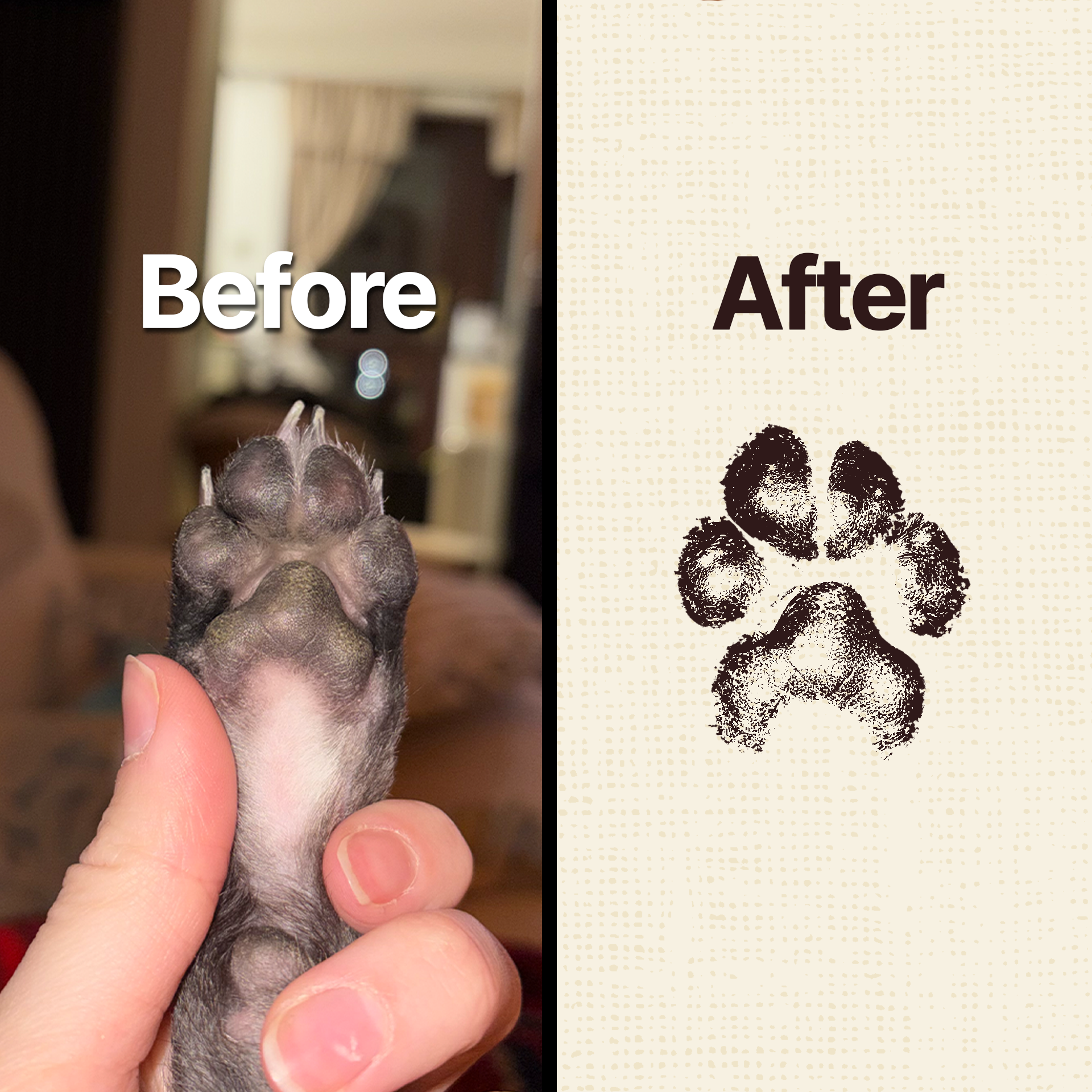 Custom IOW Paw Print Keepsake™
