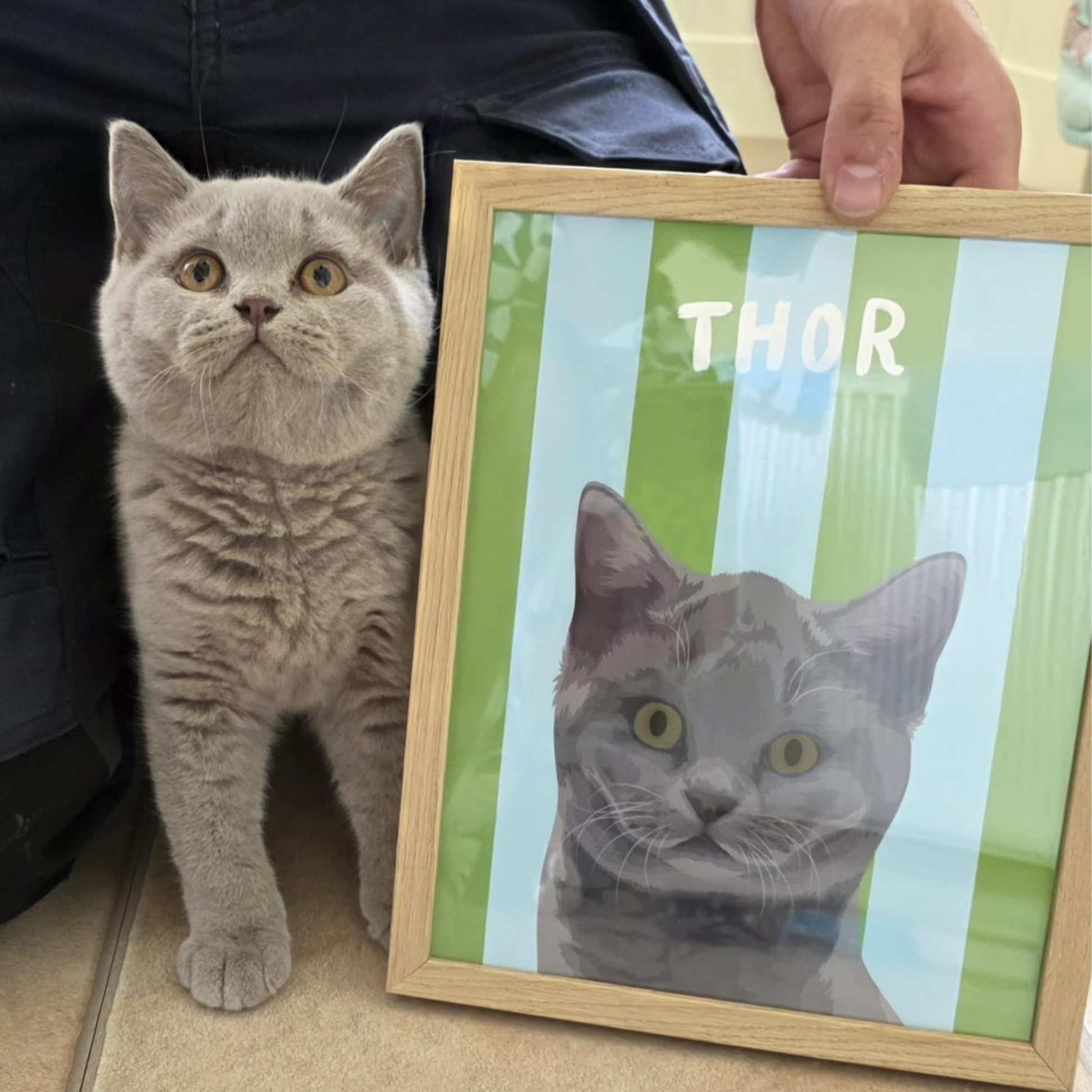Beach Stripes - Custom Pet Portrait™