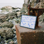 Cheers, Salue, Prost!