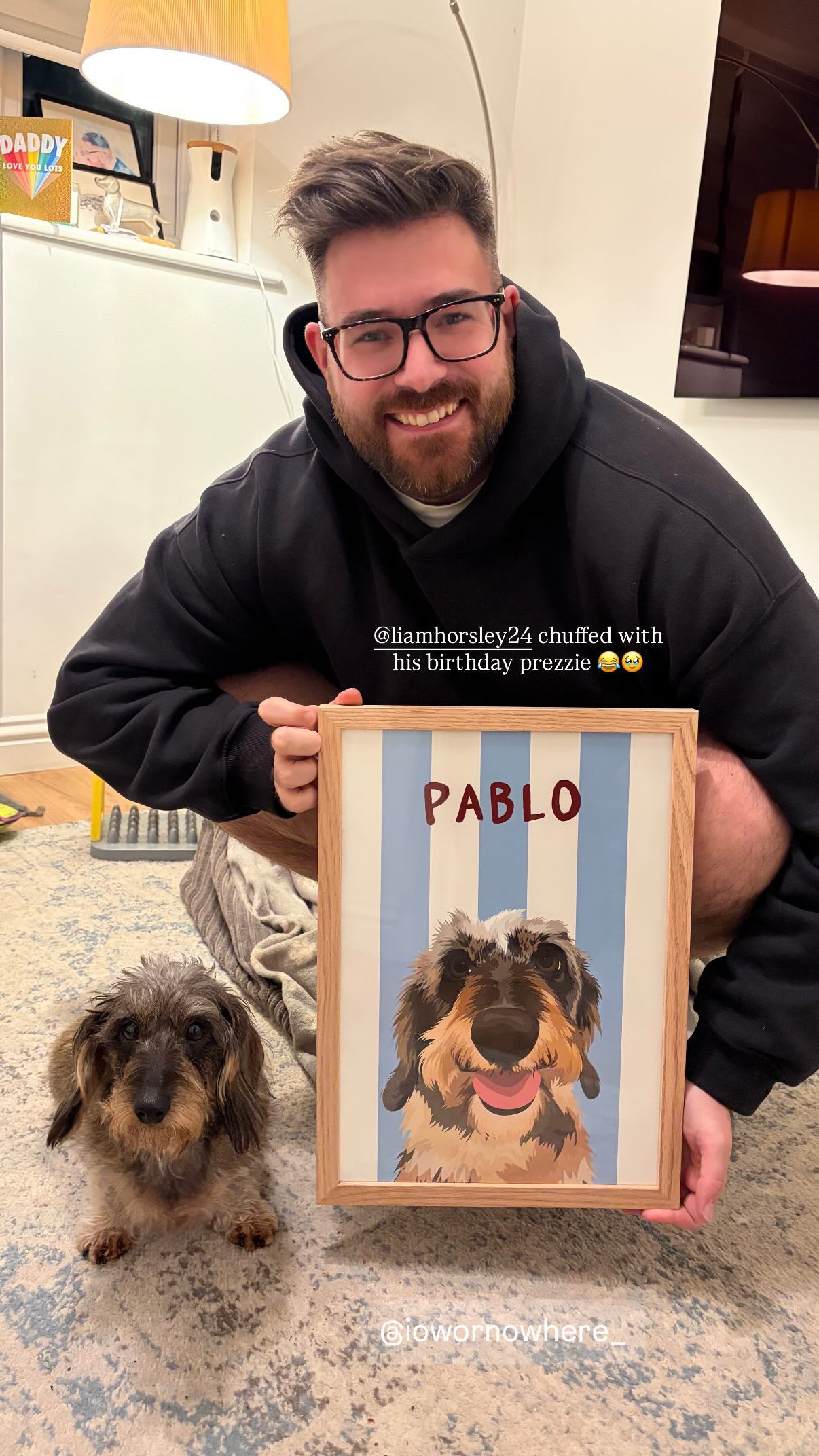 Custom Pet Portrait - Beach Stripes ™