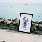 Homarus IOW Lobster Print