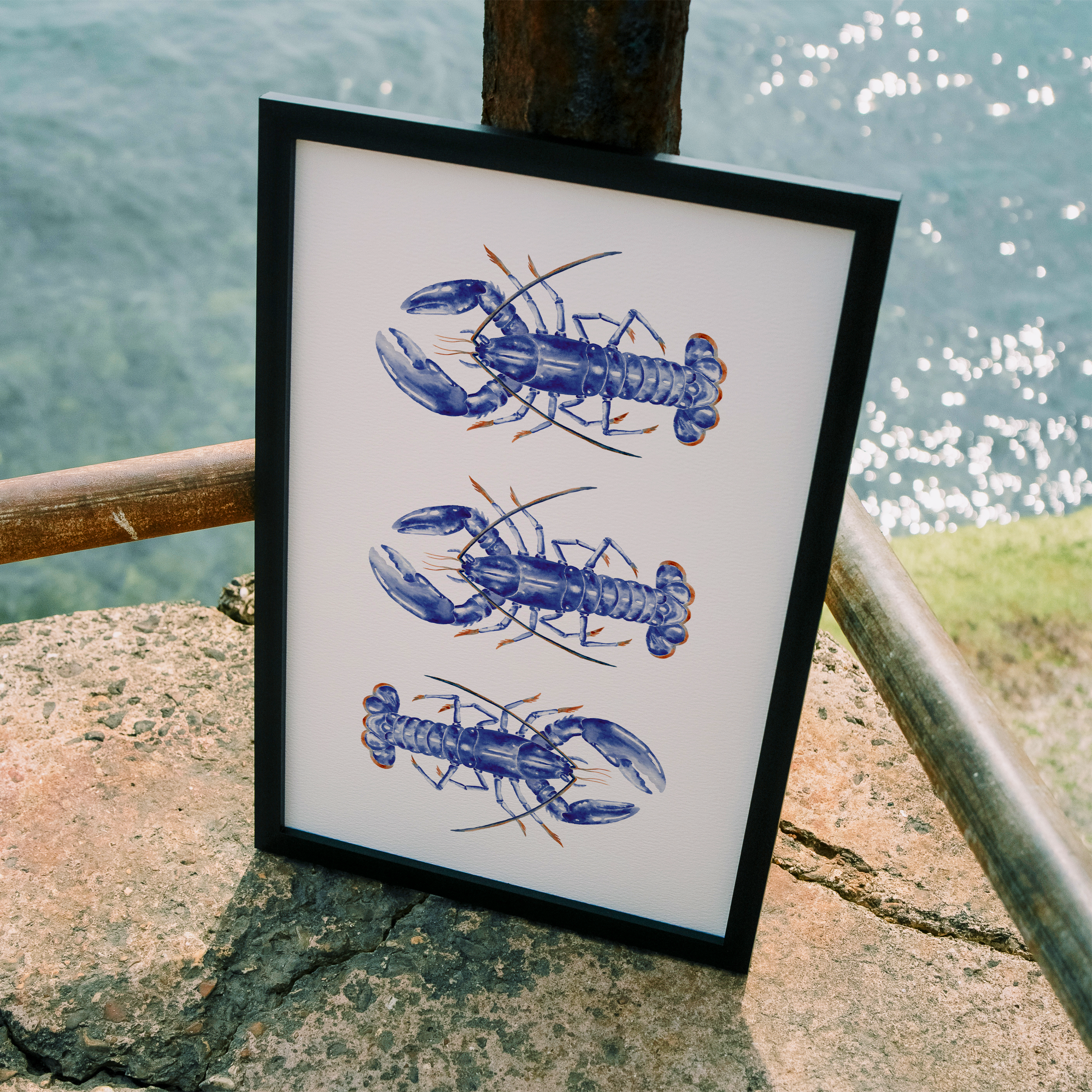 3 IOW Lobster Print
