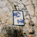 IOW Lobster Inception