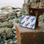 Lots of IOW Lobster Diagonal Print