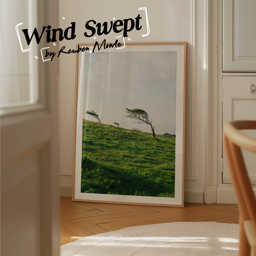 Wind Swept