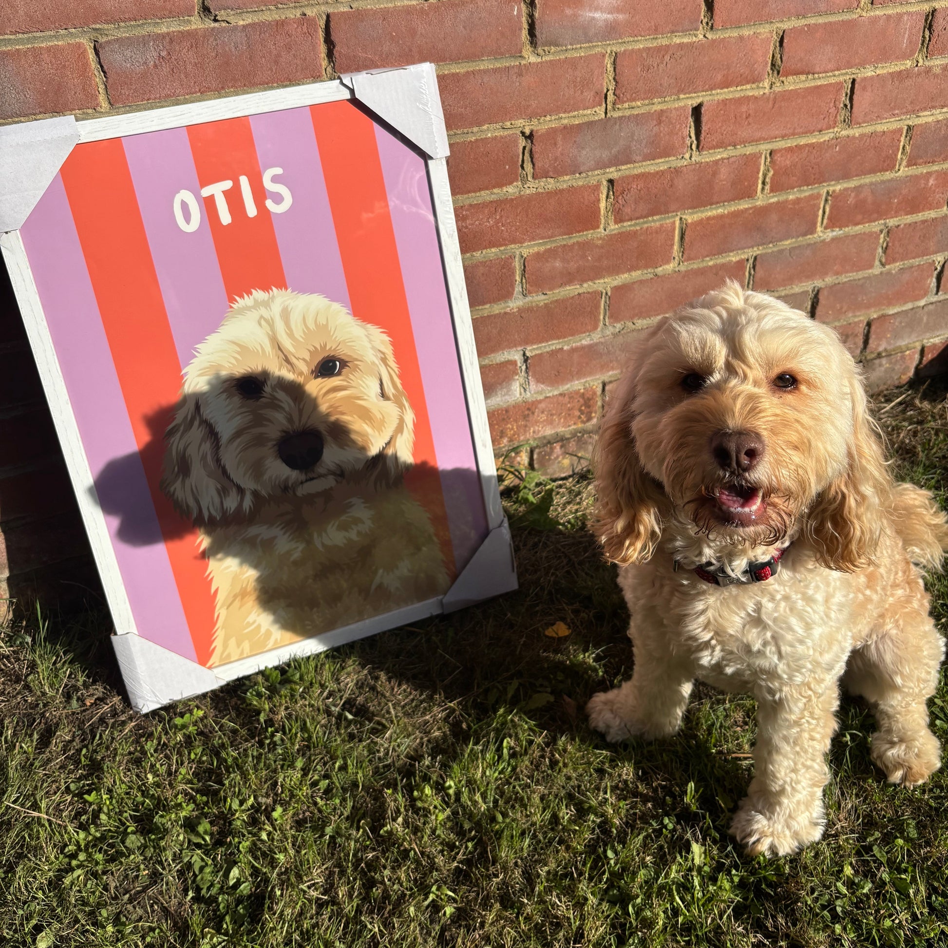 Beach Stripes - Custom Pet Portrait™