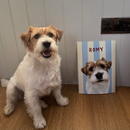 White and brown dog named Romy sitting next to its framed custom pet portrait with blue striped background — personalised dog portrait print